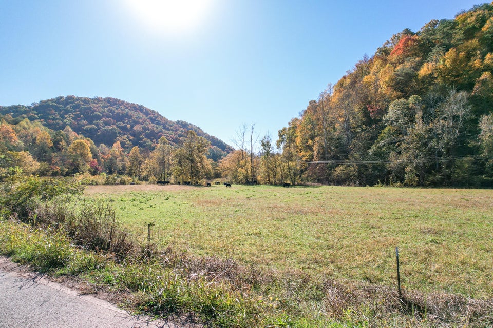 Photo #19: Tbd Big Creek Road
