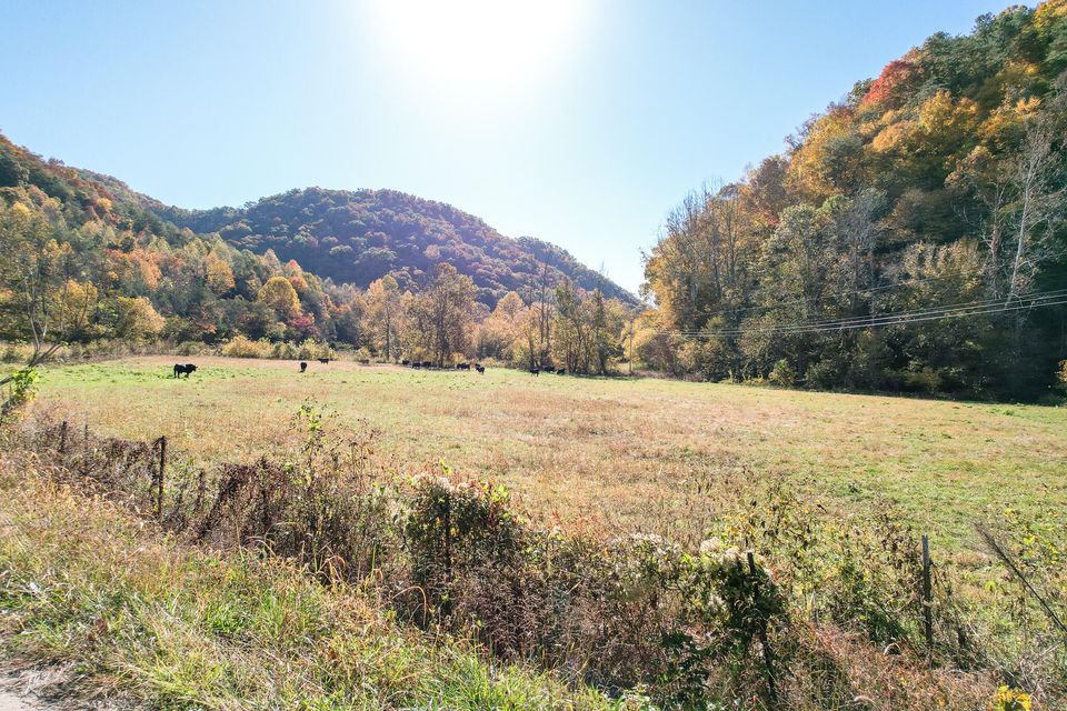 Photo #21: Tbd Big Creek Road