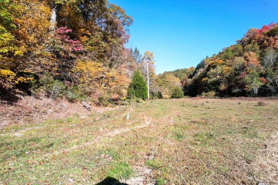 Photo #22: Tbd Big Creek Road