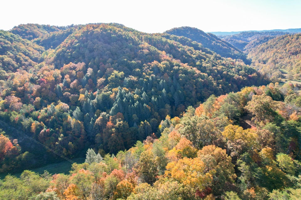 Photo #42: Tbd Big Creek Road
