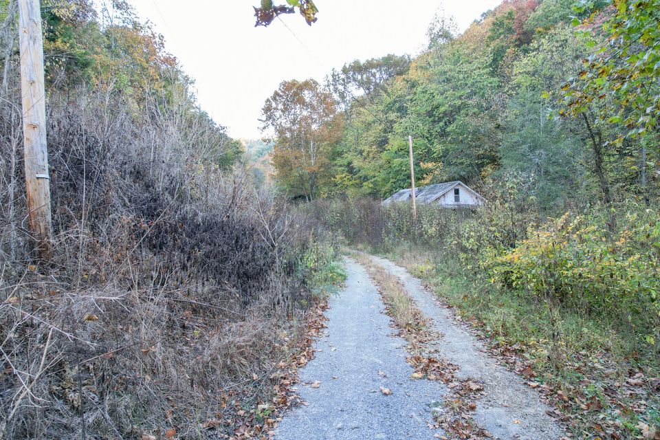 Photo #46: Tbd Big Creek Road