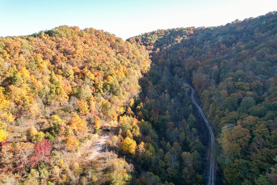 Photo #51: Tbd Big Creek Road