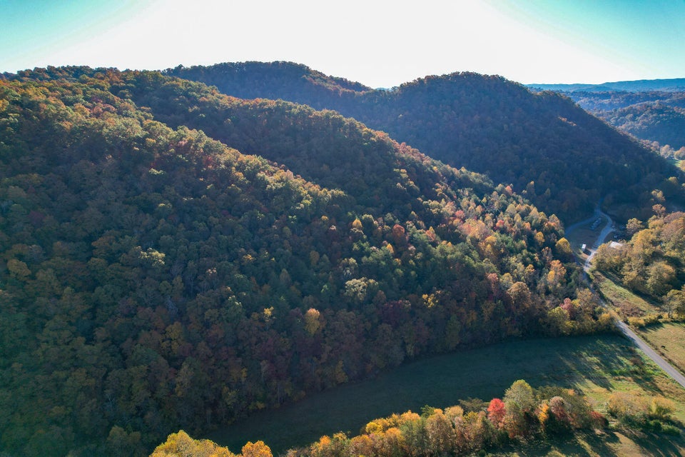 Photo #55: Tbd Big Creek Road