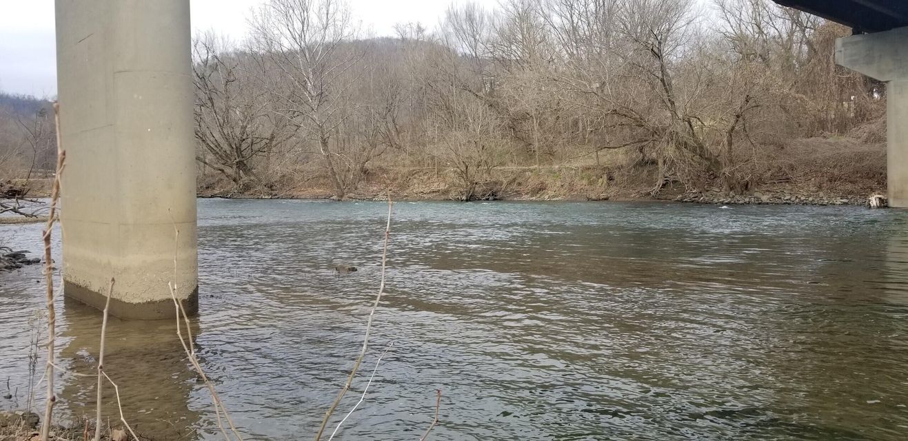 Photo #4: Tbd Waters Edge
