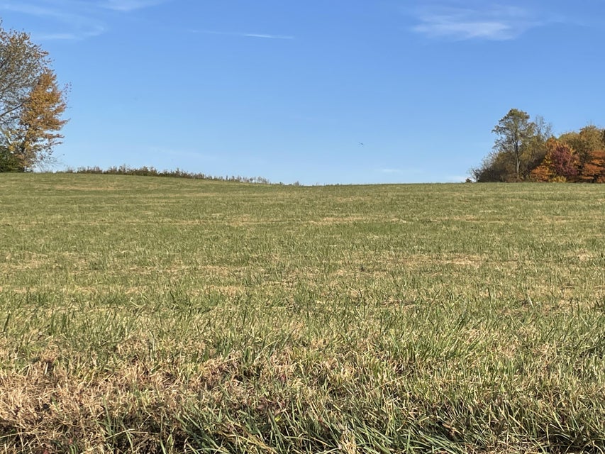 Photo #3: Tbd Milburnton Road