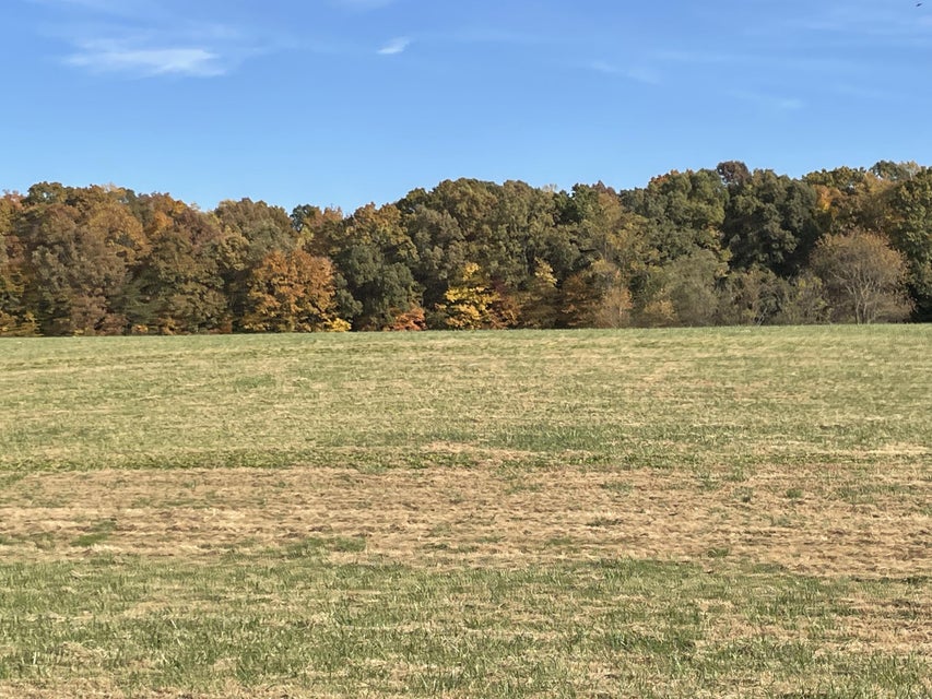 Photo #2: Tbd Milburnton Road