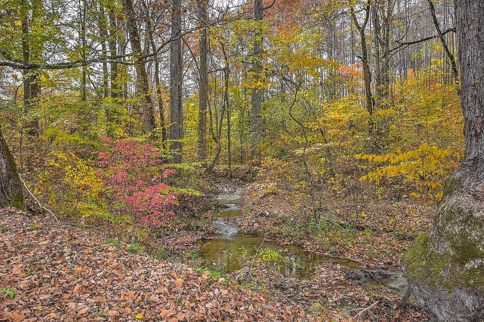 Photo #63: 1171 Mitchell Road