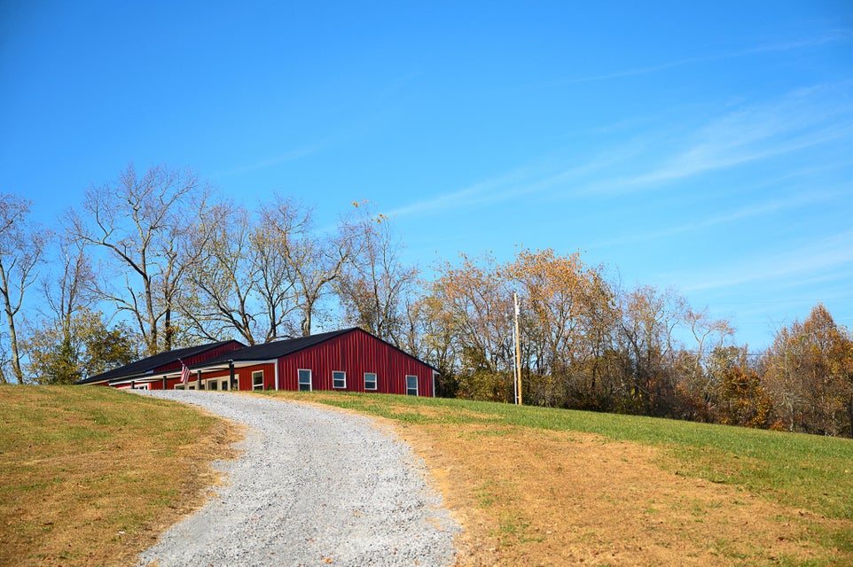 Photo #29: 190 Dosser Lane
