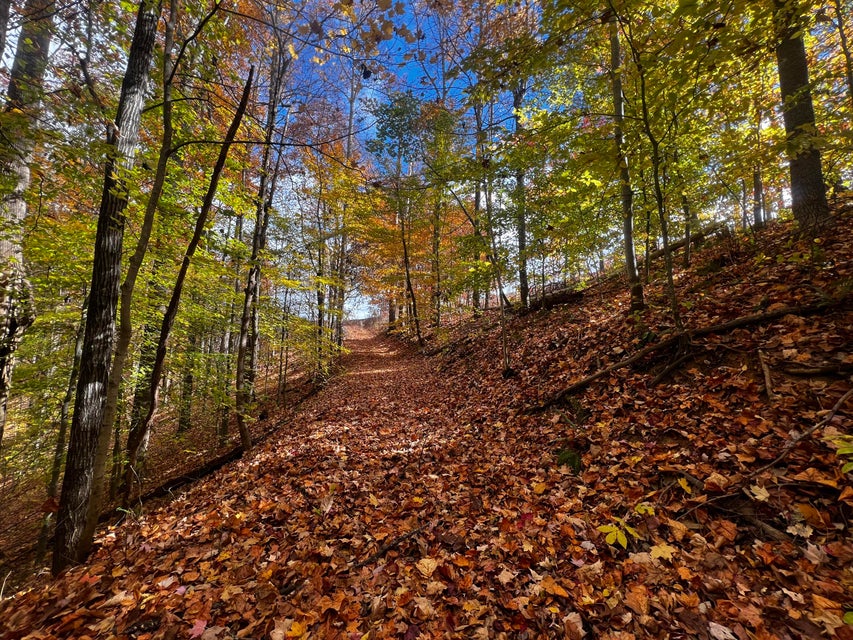 Photo #21: 974 Gregory Road