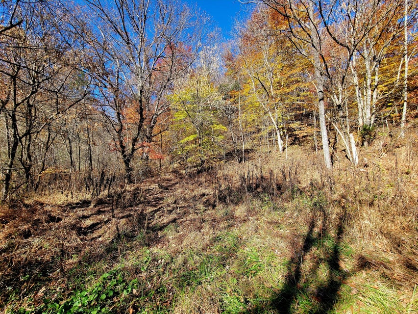 Photo #7: 5589 Lower Copper Creek Road