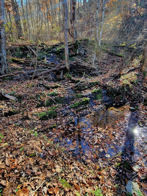 Photo #14: 5589 Lower Copper Creek Road