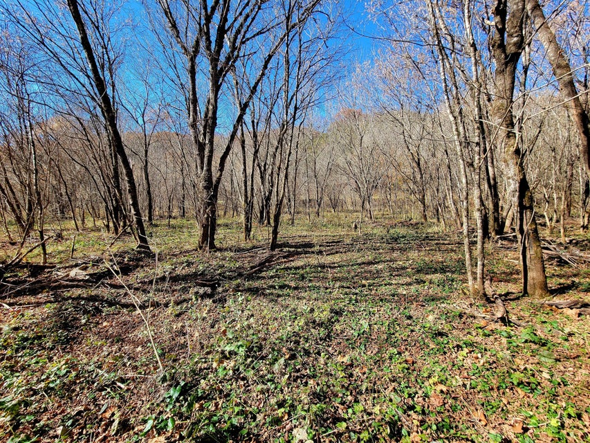 Photo #20: 5589 Lower Copper Creek Road