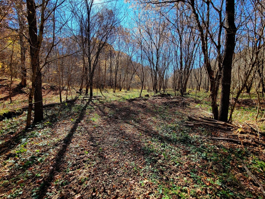 Photo #22: 5589 Lower Copper Creek Road