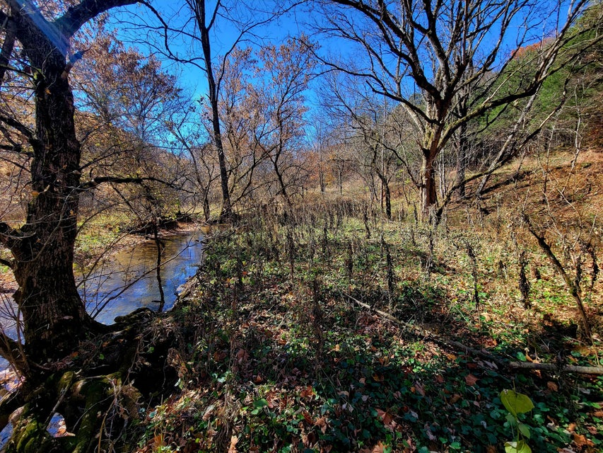 Photo #35: 5589 Lower Copper Creek Road