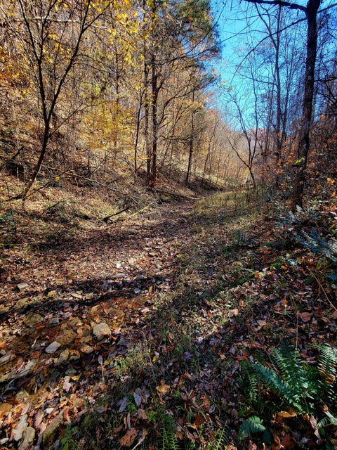 Photo #43: 5589 Lower Copper Creek Road