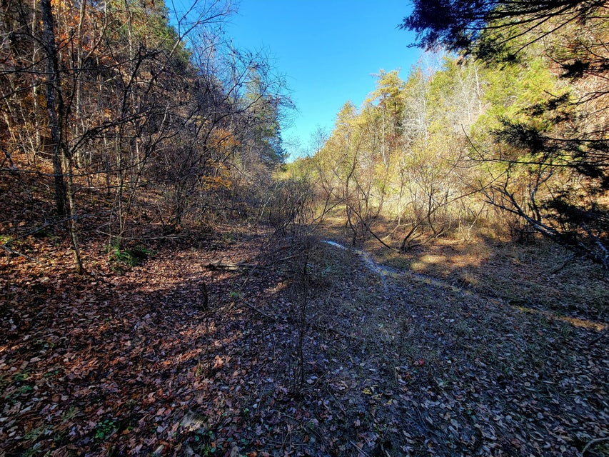 Photo #44: 5589 Lower Copper Creek Road