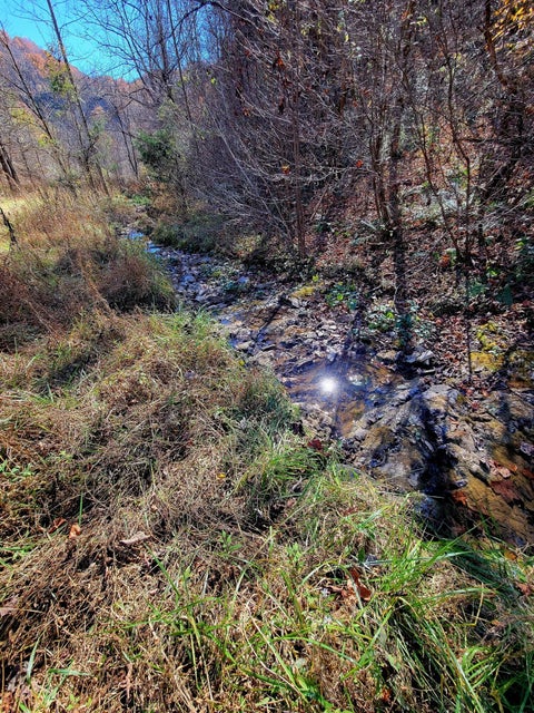 Photo #51: 5589 Lower Copper Creek Road