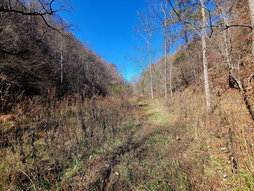 Photo #52: 5589 Lower Copper Creek Road