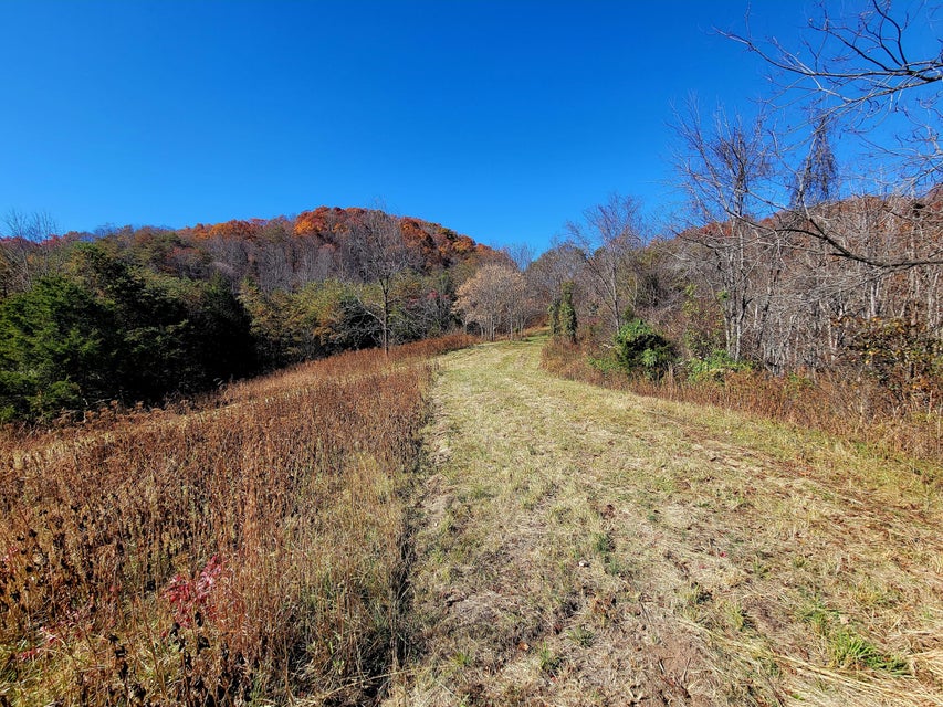 Photo #58: 5589 Lower Copper Creek Road