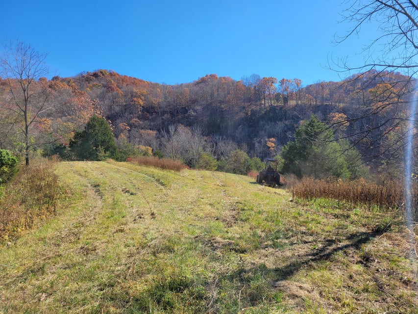 Photo #62: 5589 Lower Copper Creek Road