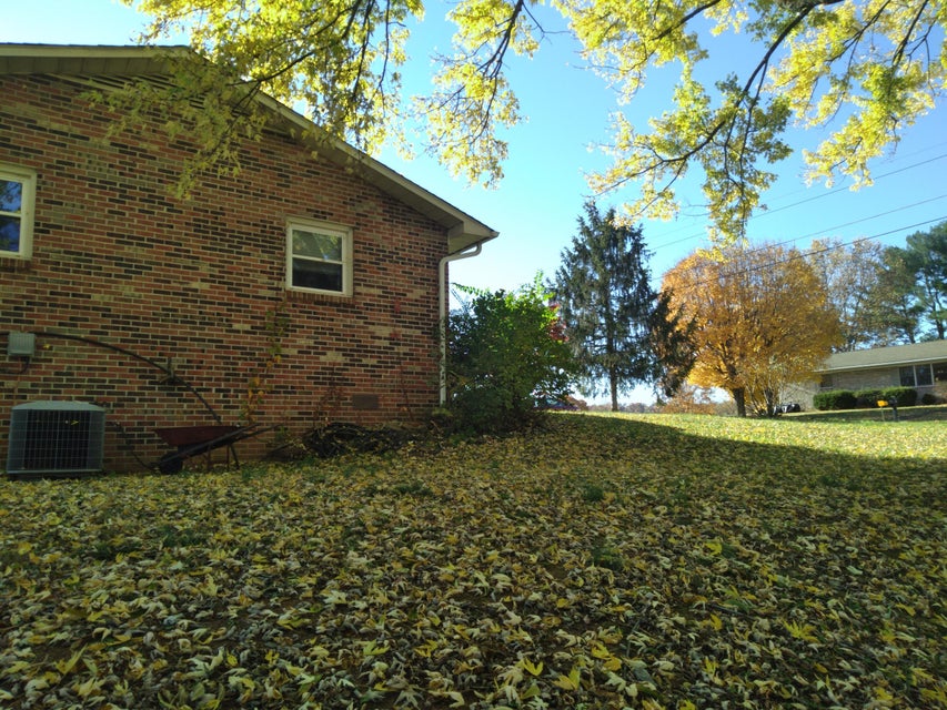 Photo #6: 356 Sycamore Drive