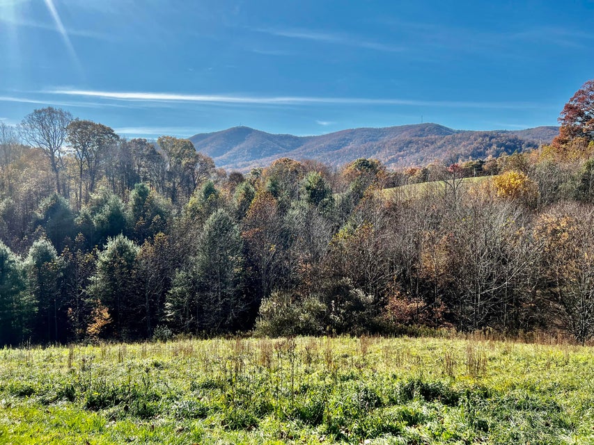 Photo #8: 804 Wallace Road