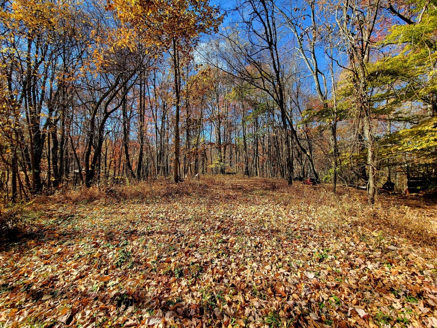 Photo #15: 2147 Hazel Mountain Road