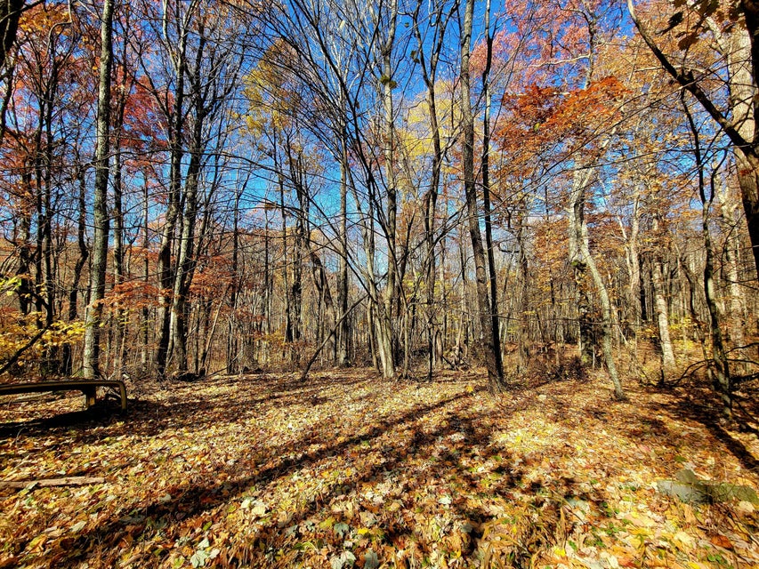 Photo #16: 2147 Hazel Mountain Road