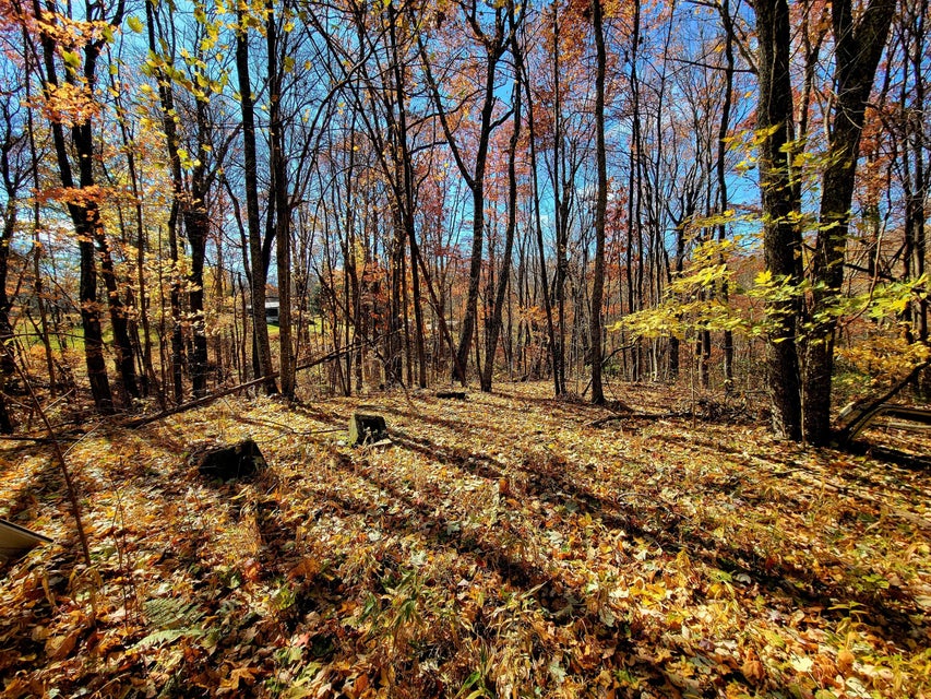 Photo #17: 2147 Hazel Mountain Road