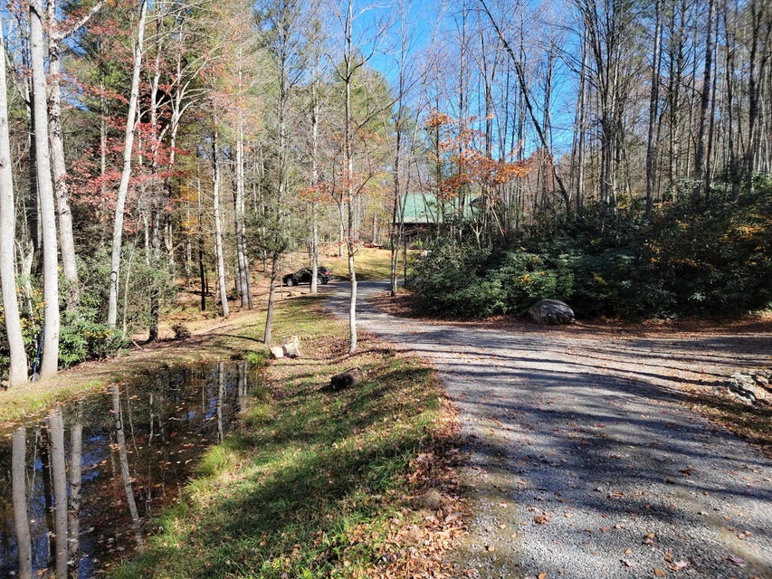 Photo #26: 215 Myrtle Drive