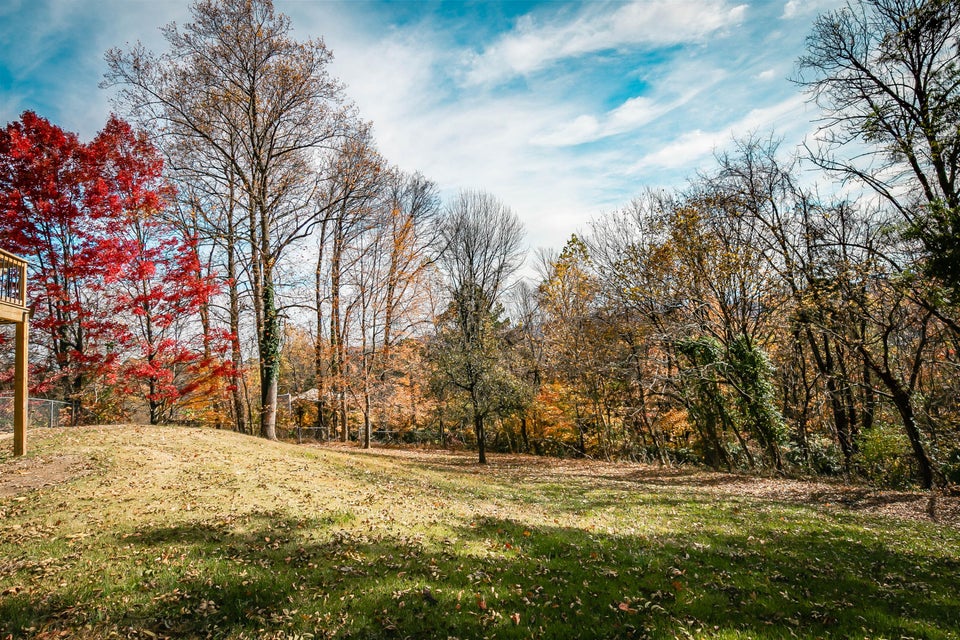 Photo #24: 917 Beechwood Drive