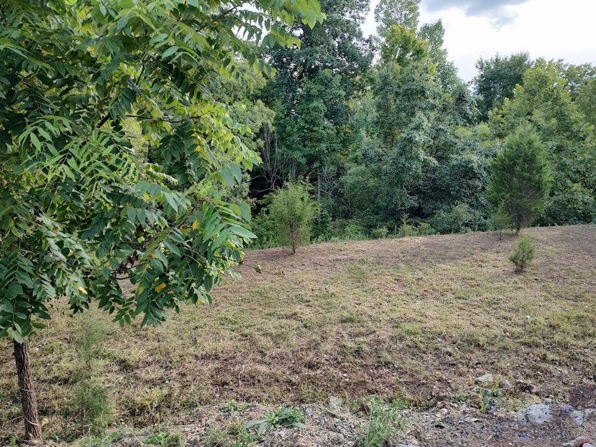 Photo #4: 2729 Prestwick Court