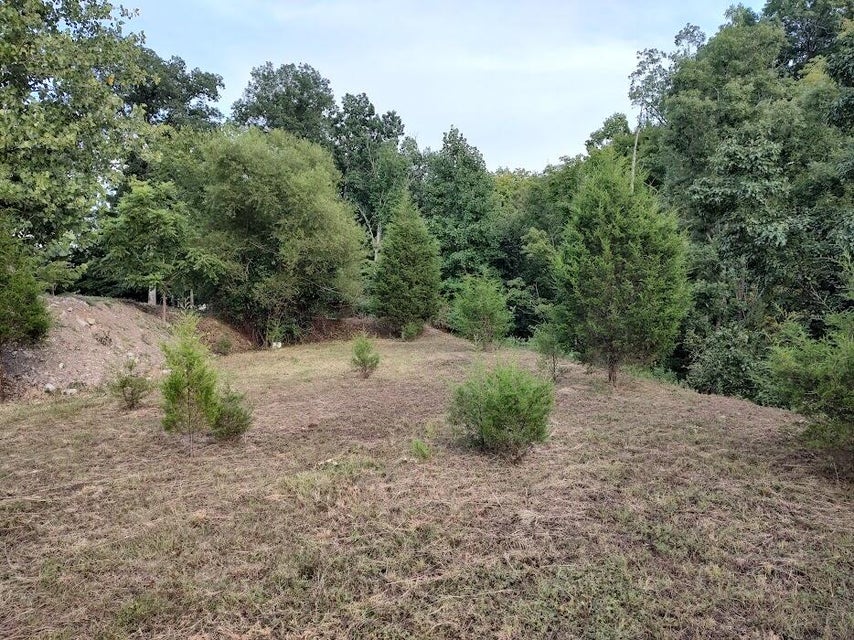 Photo #7: 2729 Prestwick Court