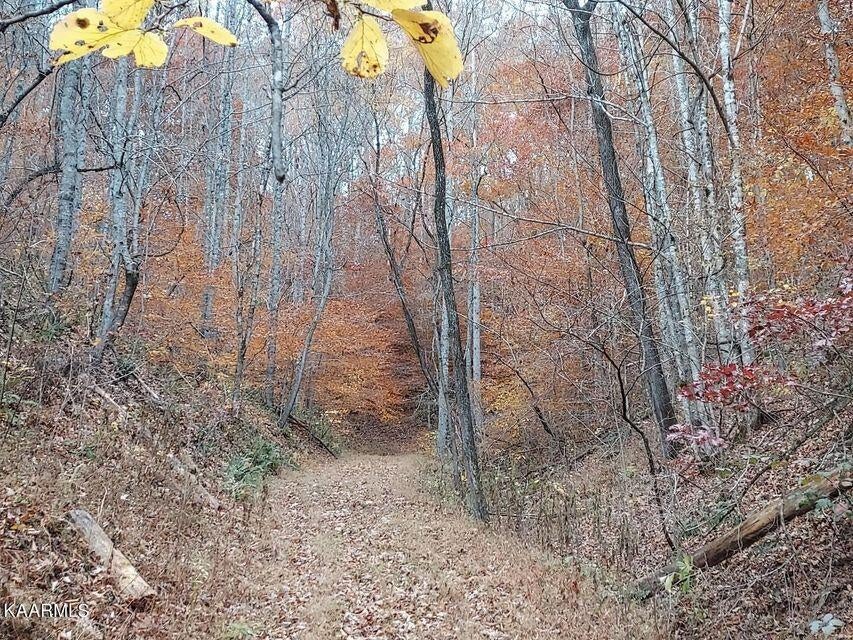 Photo #42: 742 Perry Livesay Road