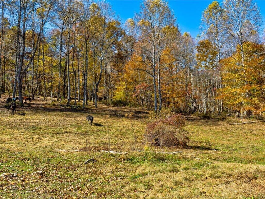 Photo #4: 0 Richardson Creek Road