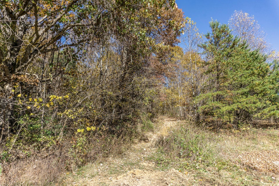 Photo #9: 00 Harold Cemetery Road