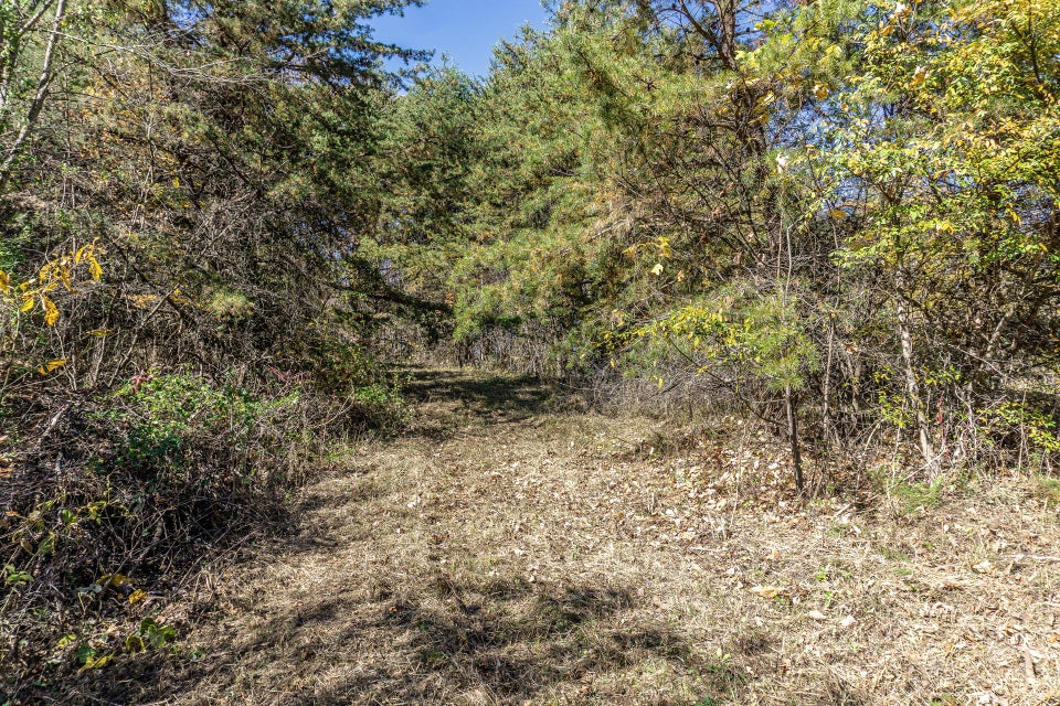 Photo #21: 00 Harold Cemetery Road