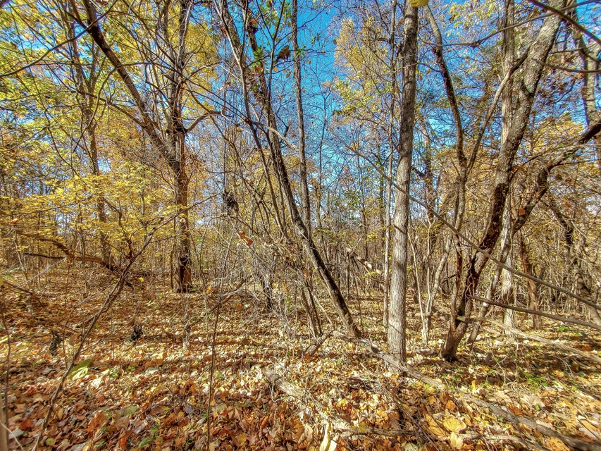 Photo #24: 00 Harold Cemetery Road