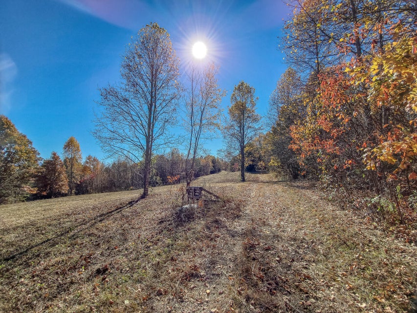 Photo #44: 00 Harold Cemetery Road