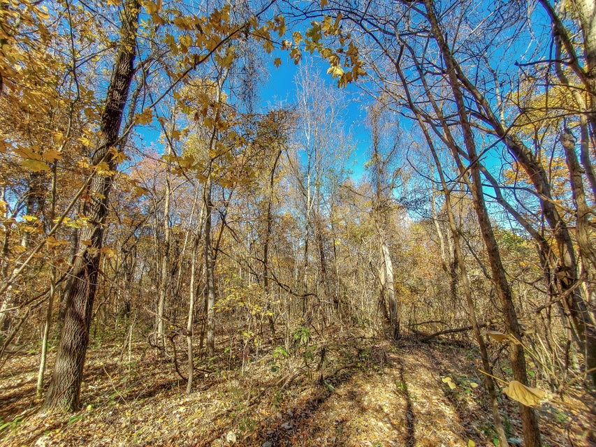 Photo #47: 00 Harold Cemetery Road