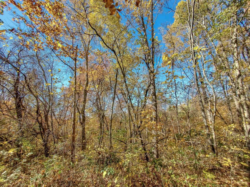 Photo #54: 00 Harold Cemetery Road