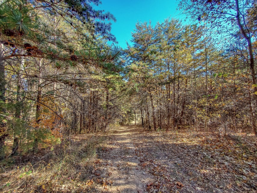 Photo #59: 00 Harold Cemetery Road