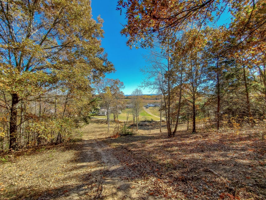Photo #62: 00 Harold Cemetery Road