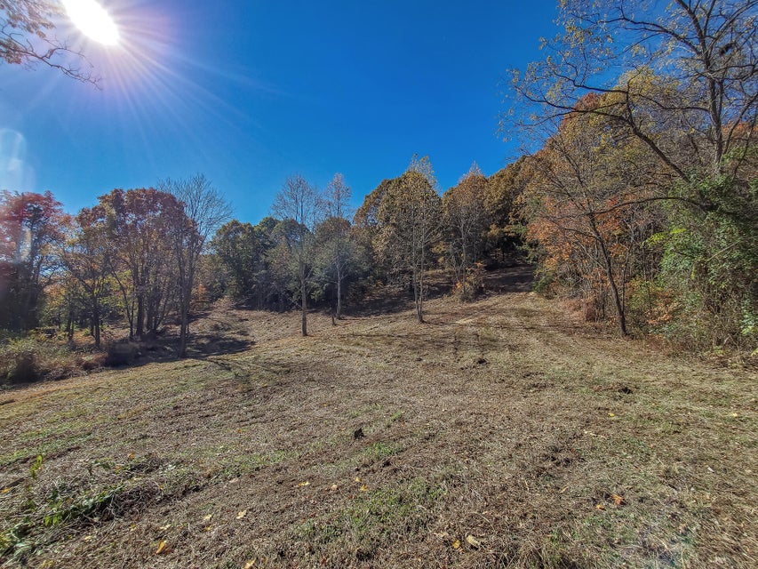 Photo #66: 00 Harold Cemetery Road