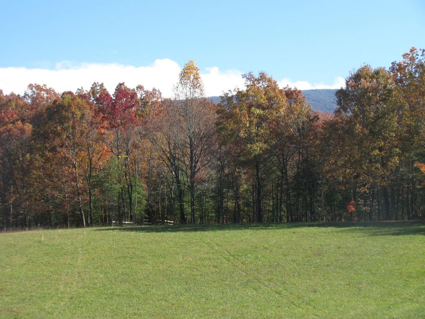 Photo #5: 465 Anest Road