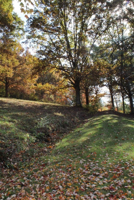 Photo #61: 235 Fisher Road