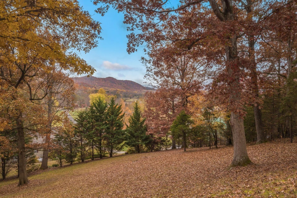Photo #48: 3359 Valley High Road