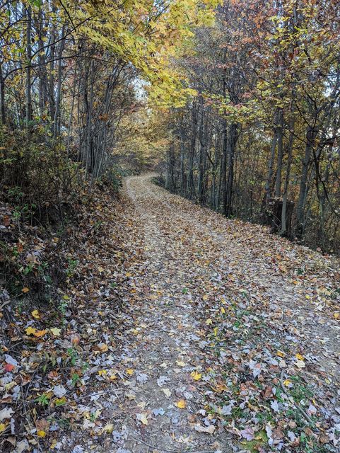 Photo #3: Tbd Council Mountain Road
