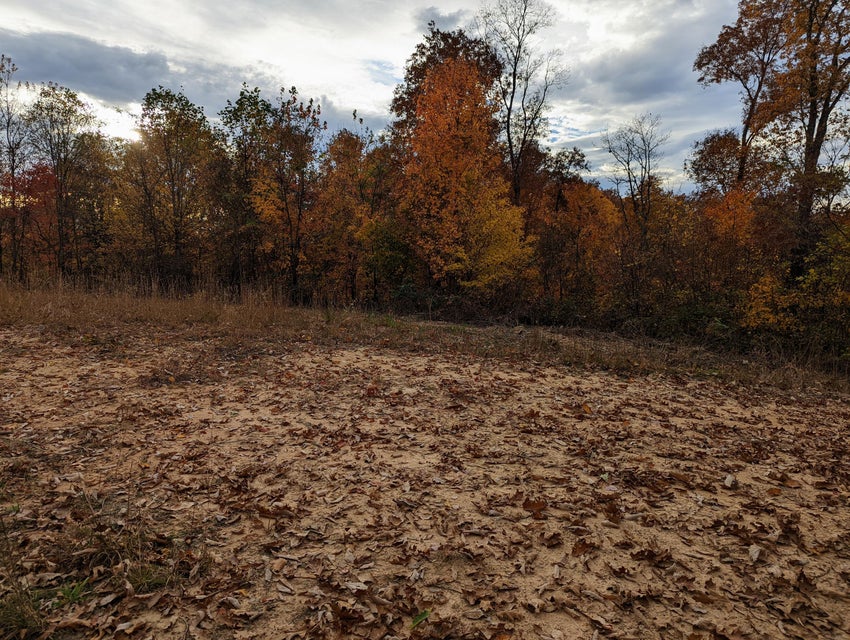 Photo #7: Tbd Council Mountain Road