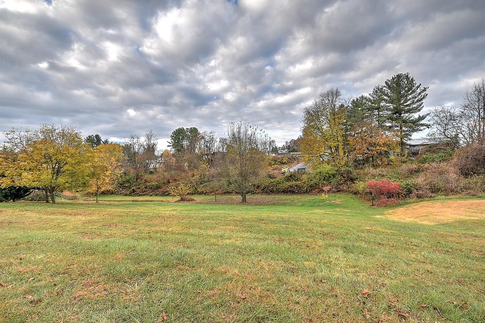 Photo #34: 121 Boone Avenue Extension